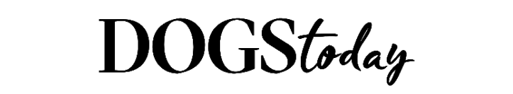 Magazin Dogstoday Logo Magazin Dogstoday